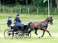 Dressage - Arena 1