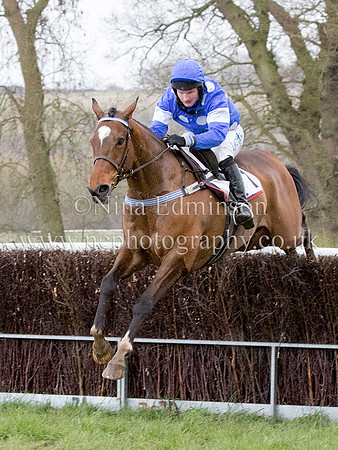 _E8A2383 Bollin Buster