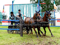 Horse Pairs