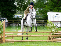 Ridden Ponies