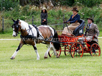Dressage - Arena 2