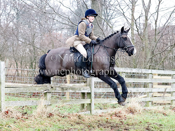 _Q5I0265