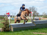 Fence 9
