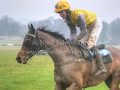 Point to Point 2017 Season