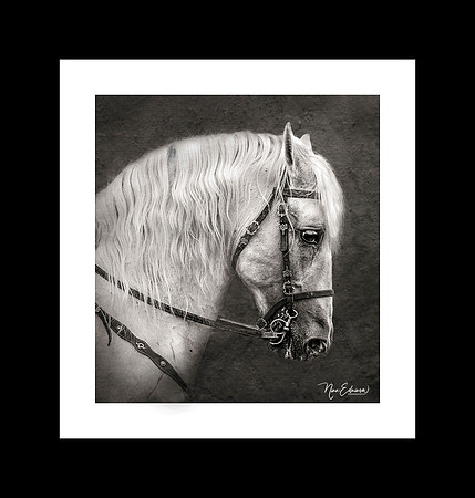 The Spanish Horse