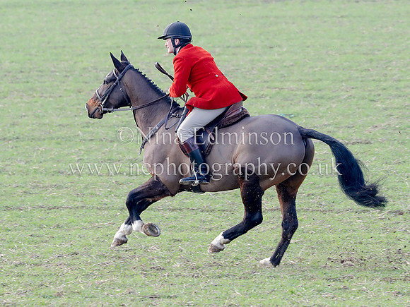 CC--0241