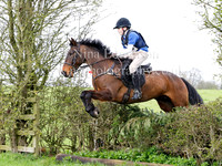 100 cm Fence 4