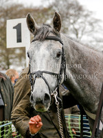Race 3 Restricted