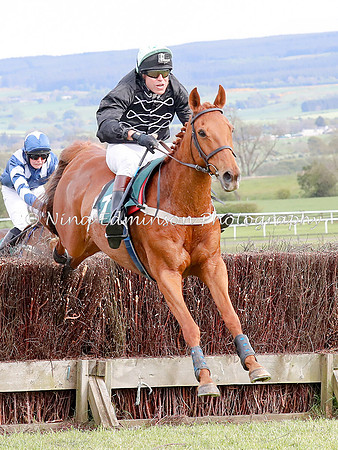 HAY--0319