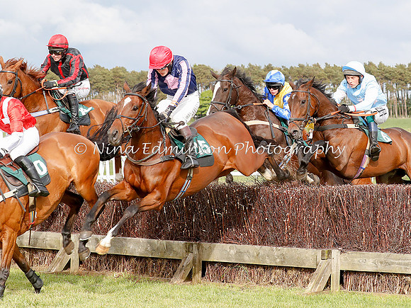 HAY--0389