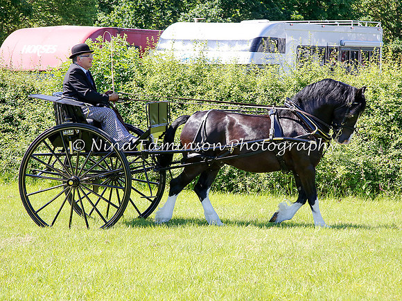 NYCS--0011