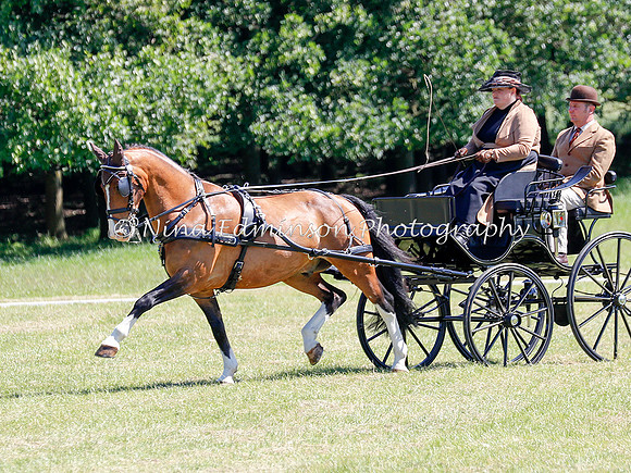 ADT--0450