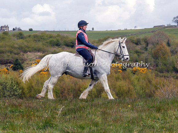 BARFR0079