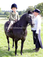 Ridden SH & Show Ponies