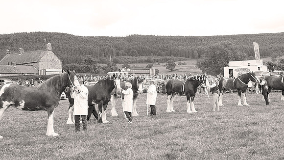 OSS--0030b&w