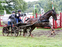 Single Horses