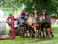 Horse Pairs