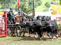 Pony Fours & Tandem