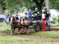 Pony Pairs