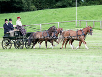 Pony Fours