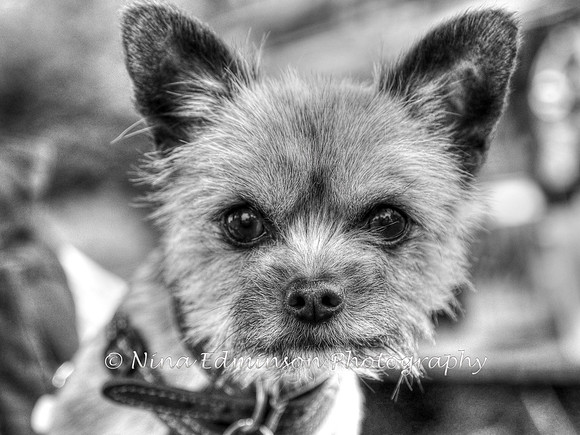 LOW17--3428_b&w