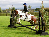 Working Hunter 45 & 55 cm