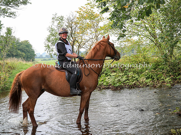 LOWLIN17--0311