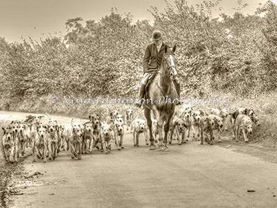 BQ5I8899_sepia