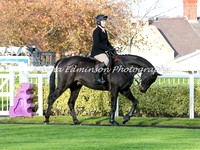 Racehorse to Hunter