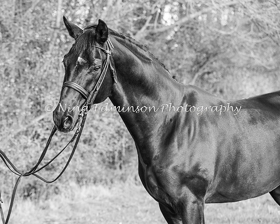 C36I7164 b&w