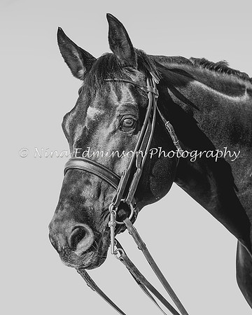 C36I7222-b&w