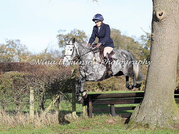 BHM17--0321