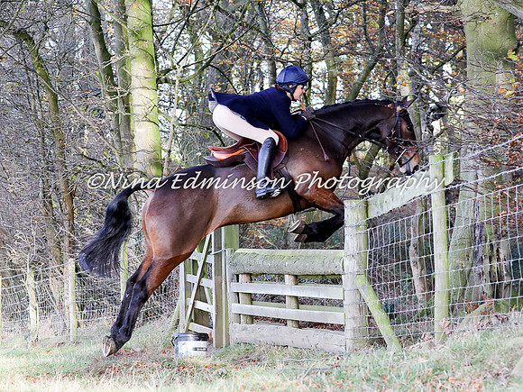 BAK17--0486