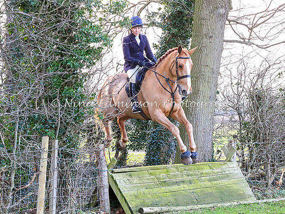 BHCH17--122