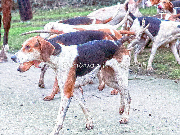 BHRO17--0213