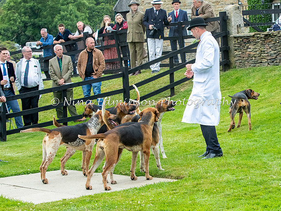 BYHS21-082