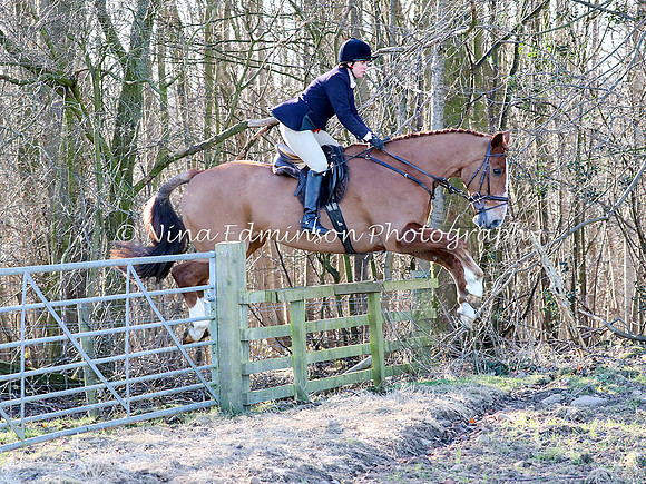 BHWT18--133