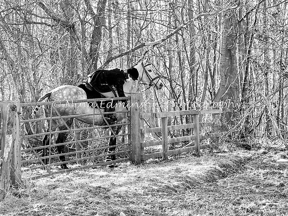 BHWT18--072-b&w