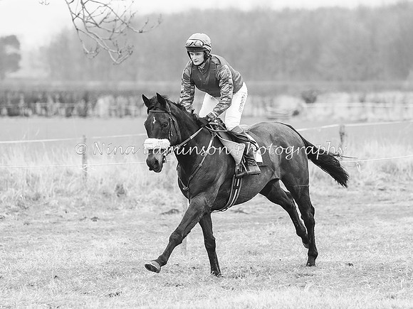 SPR4--0446-b&w