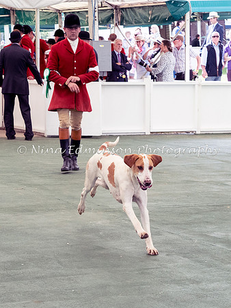 GYS21-442