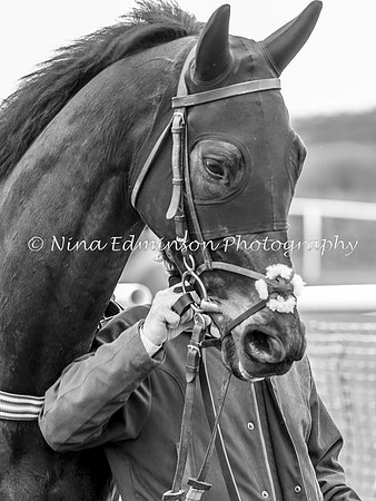 Y&AR5--0181-b&w