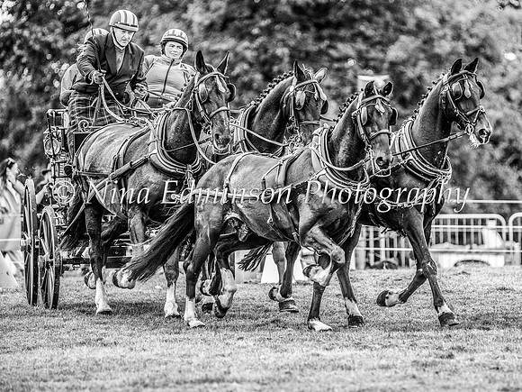 OSB23-379-b&w