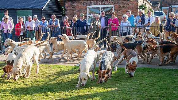 BFN18--0020P