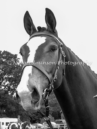 NYCS18--0892-b&w