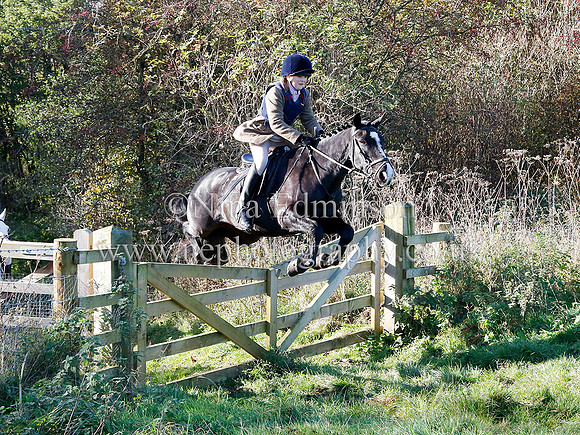 _E8A8273