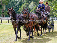 Dressage Riverside Arena