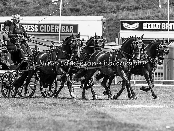 LOW18--0197-B&W