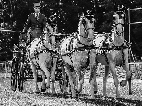 LOW18--0684-B&W