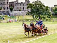 Dressage Castle Arena