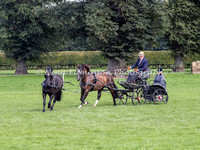 Pairs & Tandem
